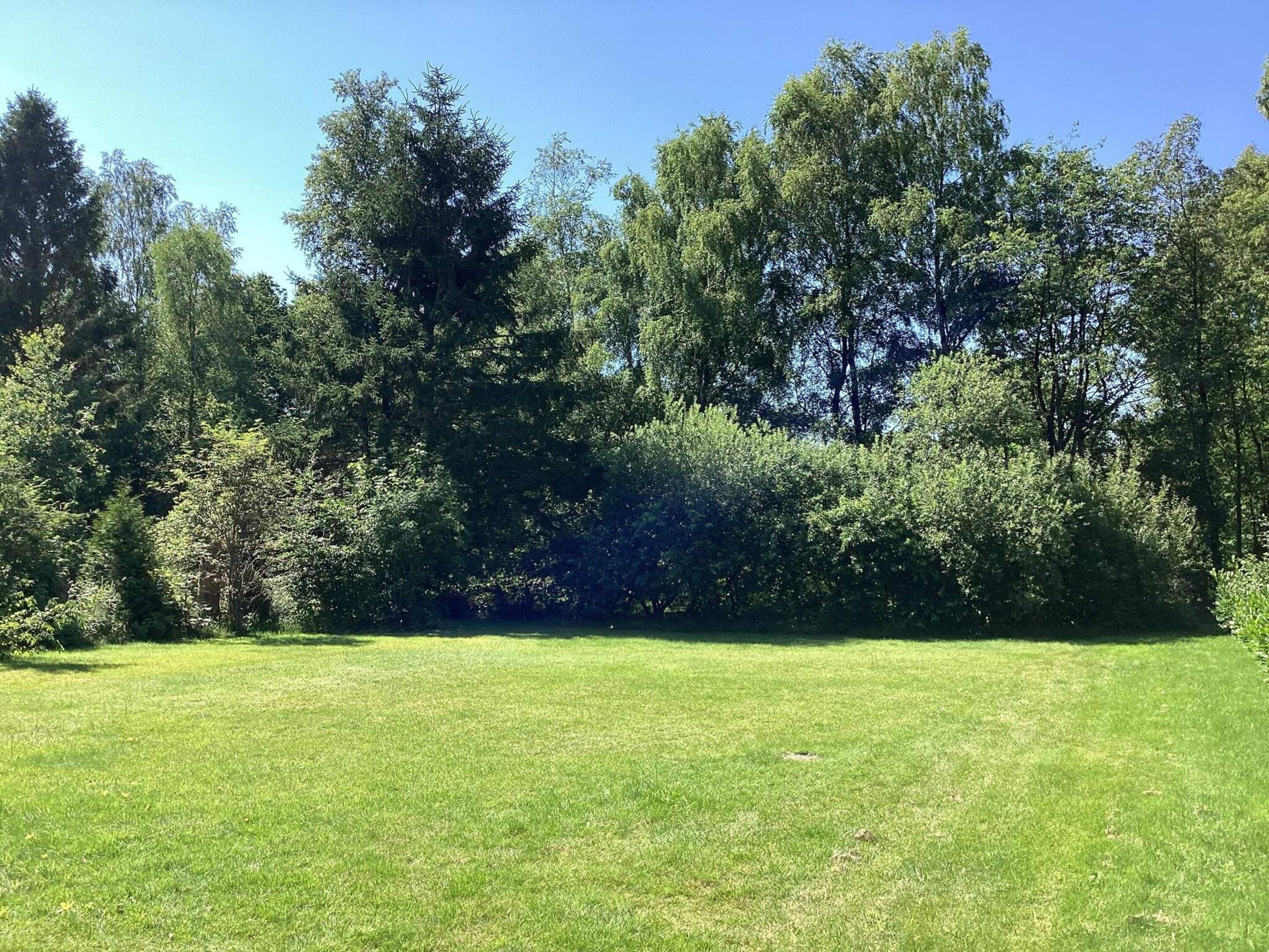 A grassy field with dense trees in the background.