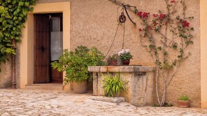 A rustic building with a tiled roof, a wooden door, and potted plants against the wall. - Agroturismo Roqueta (Maria de la Salut)