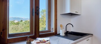 VALENTINA MANSION 'SUNFLOWER HOUSE'