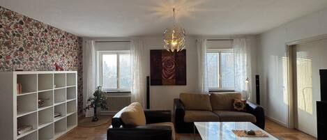 TV, fireplace, DVD player, books