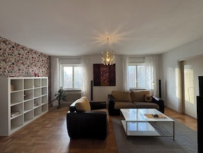 Televisio, takka, DVD-soitin, kirjoja