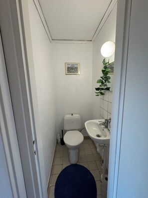 Ducha, toallas, papel higiénico