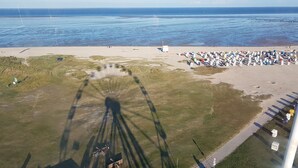 An aerial view of a beach with a Ferris wheel, a path, and a large number of numbered containers on the sand.