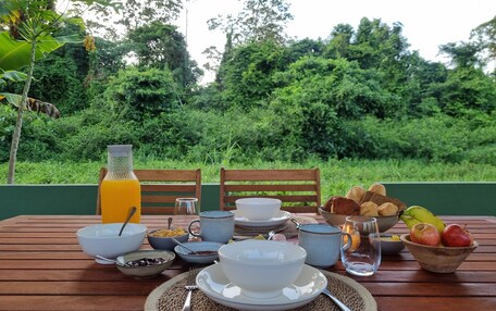 A breakfast setup on an outdoor wooden table with various dishes, a bottle of orange juice, and a view of lush greenery in the background.