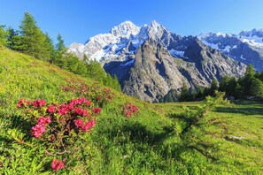 Exterior - Beautiful Flat In Courmayeur (Courmayeur)