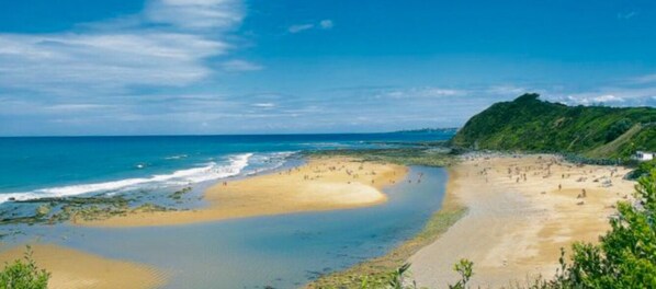 Playa