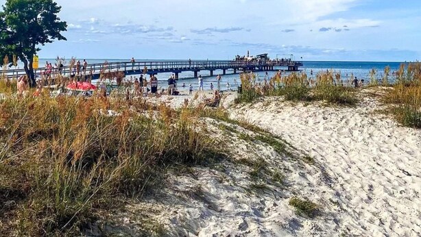 Ein sandiger Strand mit einem Steg, der sich ins Wasser erstreckt, umgeben von Vegetation.