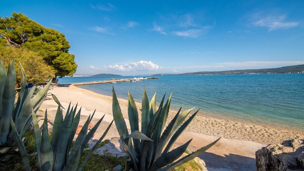 Une plage avec une eau d’un bleu limpide, un rivage sablonneux et quelques plantes.