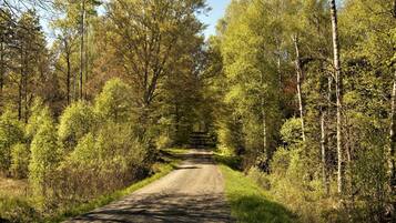 House | Miscellaneous