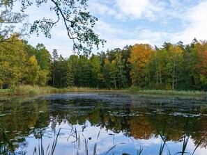 House | Miscellaneous