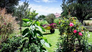 Ein Garten mit verschiedenen Pflanzen und Blumen, eine Schubkarre voller Blumen sowie ein Haus im Hintergrund.