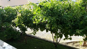 A garden area with a paved walkway and a wire fence. - Kastel Stafilic Comfortable Apartments (Kastela)