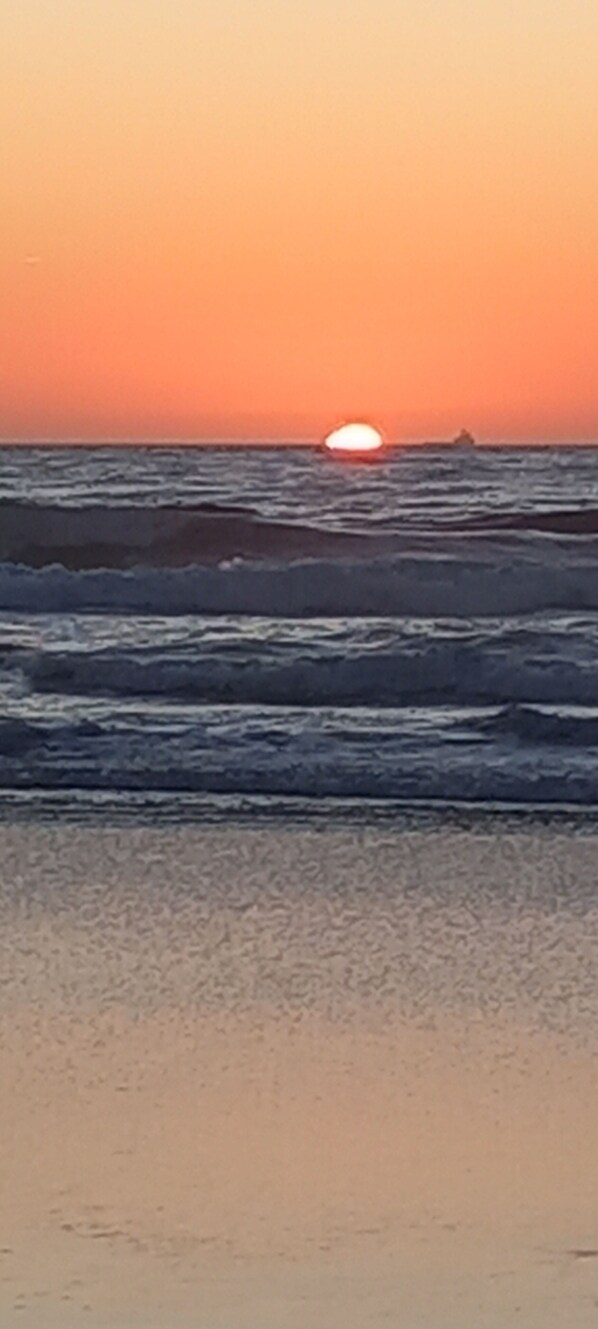 Camastros y toallas de playa 