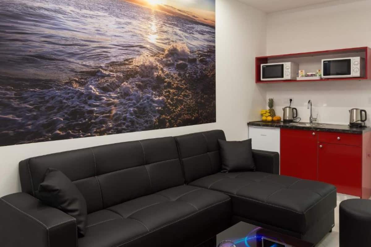 32-inch flat-screen TV with satellite channels