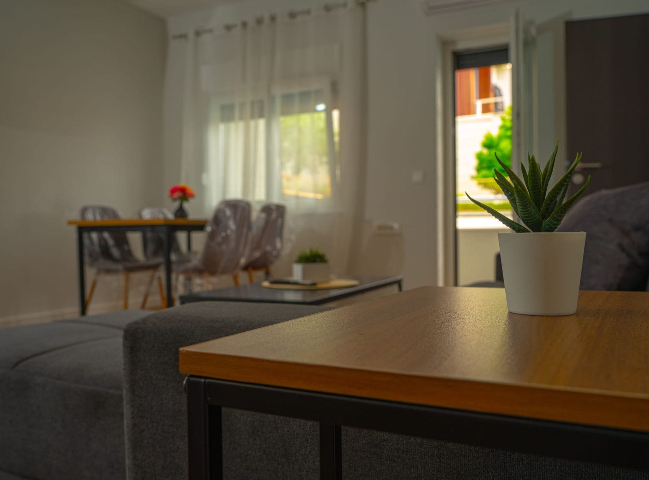 A modern living room with a sofa, a table with a potted plant, and a dining area with chairs and a table.