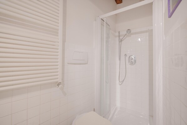 Bidet, towels, soap, toilet paper