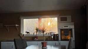Ett kök med ett fönster, en mikrovågsugn, en ugn från Bosch och en växt på fönsterbrädan.