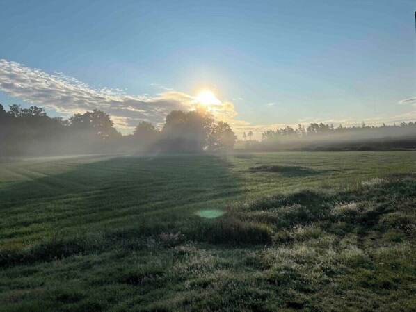 A grassy field with a clear sky and the sun low on the horizon.