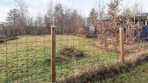 Un espace extérieur clos, avec un terrain herbeux, des arbres et un bâtiment en arrière-plan.