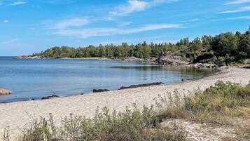 A beach with clear water, sandy shore, and a forested area in the background.