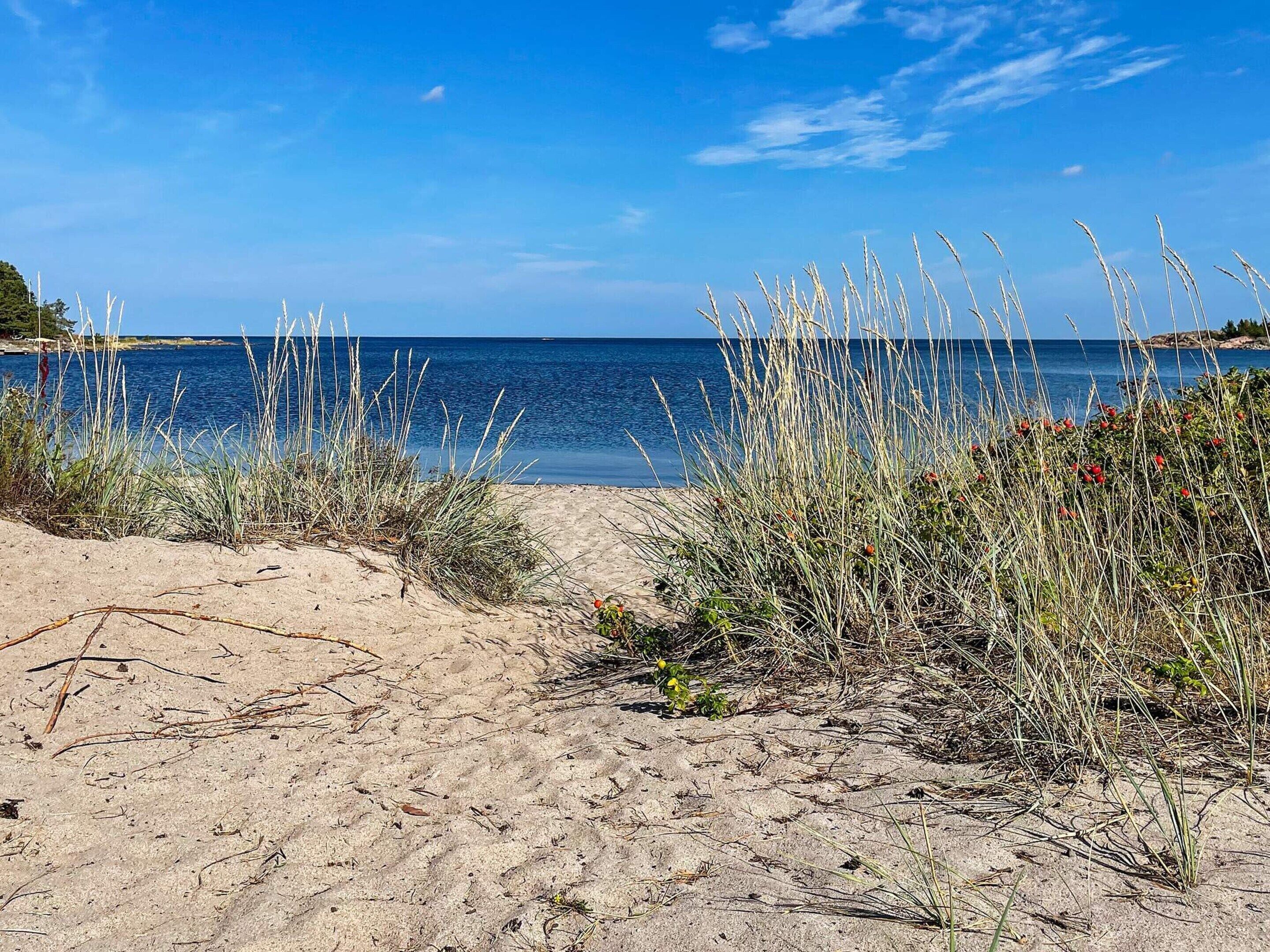 House | Beach