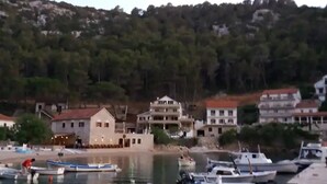 Un port de plaisance où sont amarrés plusieurs bateaux, entouré de bâtiments résidentiels et bordé d’une colline couverte d’arbres.