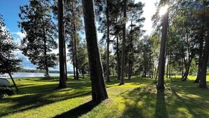Um parque com árvores altas e uma área gramada.
