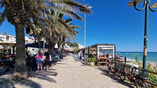 A cobblestone promenade with palm trees, outdoor seating, and bicycles.