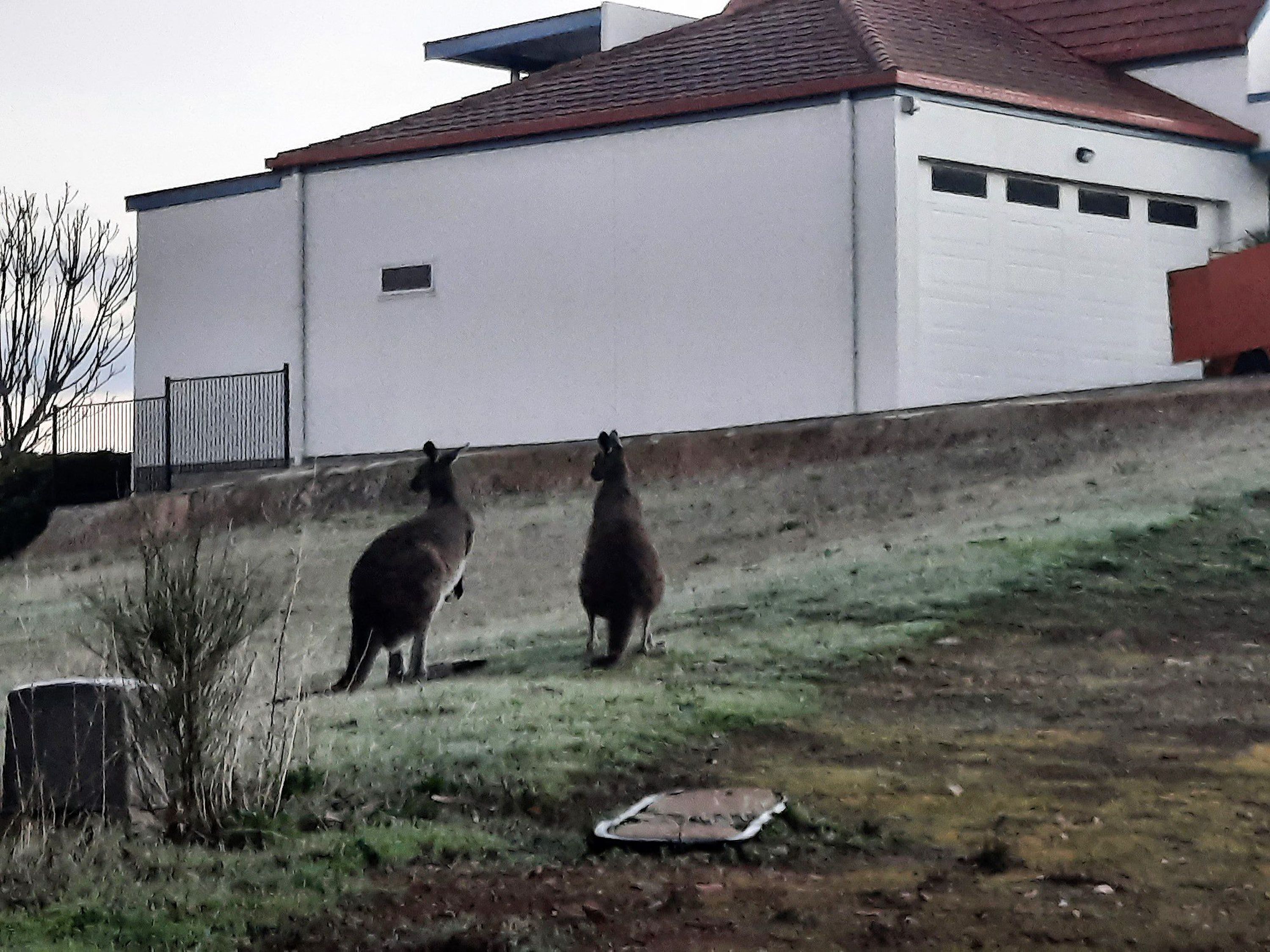 單棟房屋 | 3 間睡房