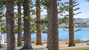 Une zone côtière bordée de grands arbres, offrant une vue dégagée sur la mer et un paysage lointain.