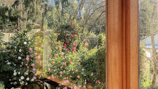 Une fenêtre donnant sur un jardin où l’on peut admirer une variété de plantes et de fleurs.