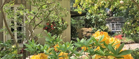 아파트 | 1 개의 침실