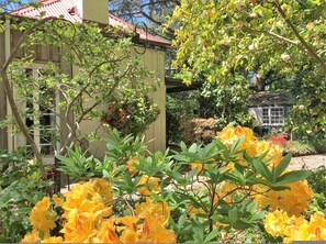 Appartement | 1 chambre