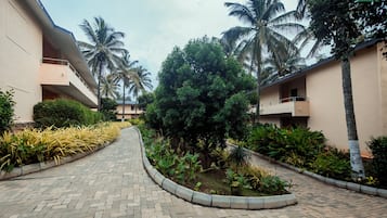 A pathway flanked by palm trees and plants, leading to a building with balconies.