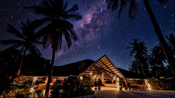 Un edificio con estructura de techo triangular, rodeado de palmeras y un cielo nocturno estrellado.
