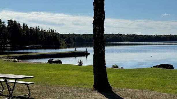 Un espace de pique-nique au bord du lac, avec une table et un arbre.