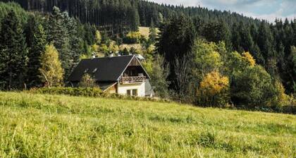 Stare Hamry Mosl590 Comfortable Holiday Residence