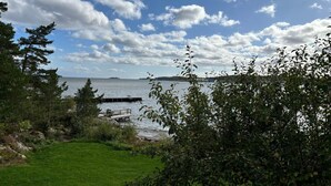 A grassy area with a dock extending into a body of water, surrounded by trees and a partly cloudy sky.