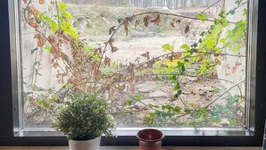 Una ventana con vistas a un jardín, una planta en maceta en el alféizar y una maceta marrón.