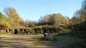 Un entorno natural con un sendero de tierra, formaciones rocosas y árboles.