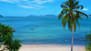A beach with a palm tree, calm sea, and distant mountains.