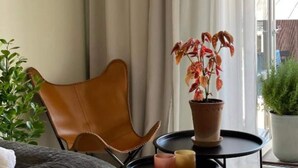 Ein Zimmer mit braunem Ledersessel, einem kleinen runden Tisch mit Topfpflanze und einem Fenster mit Vorhängen.