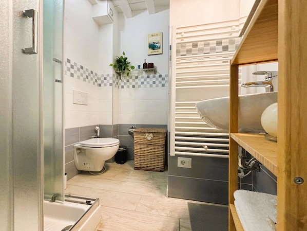 Shower, hair dryer, bidet, towels