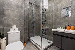 Shower, hair dryer, towels, soap