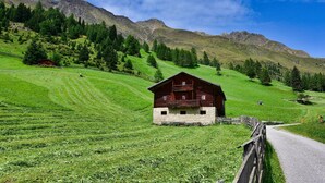 Een houten chalet met een stenen fundering, omringd door weelderige groene velden en bergen op de achtergrond.