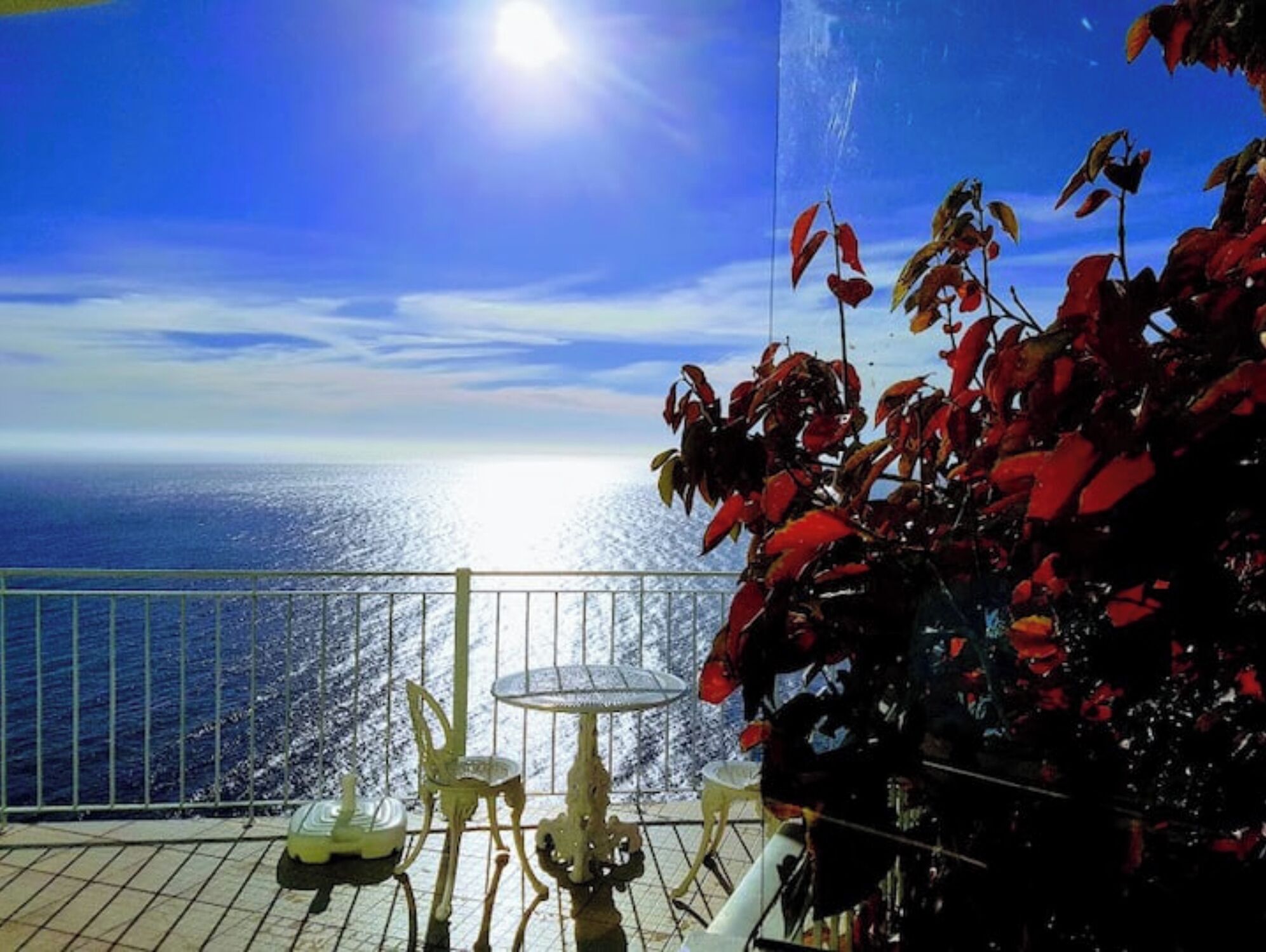 Terras
