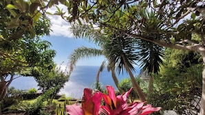 A tropical garden with a view of the ocean. - VIEWPOINT HOUSE (Calheta)