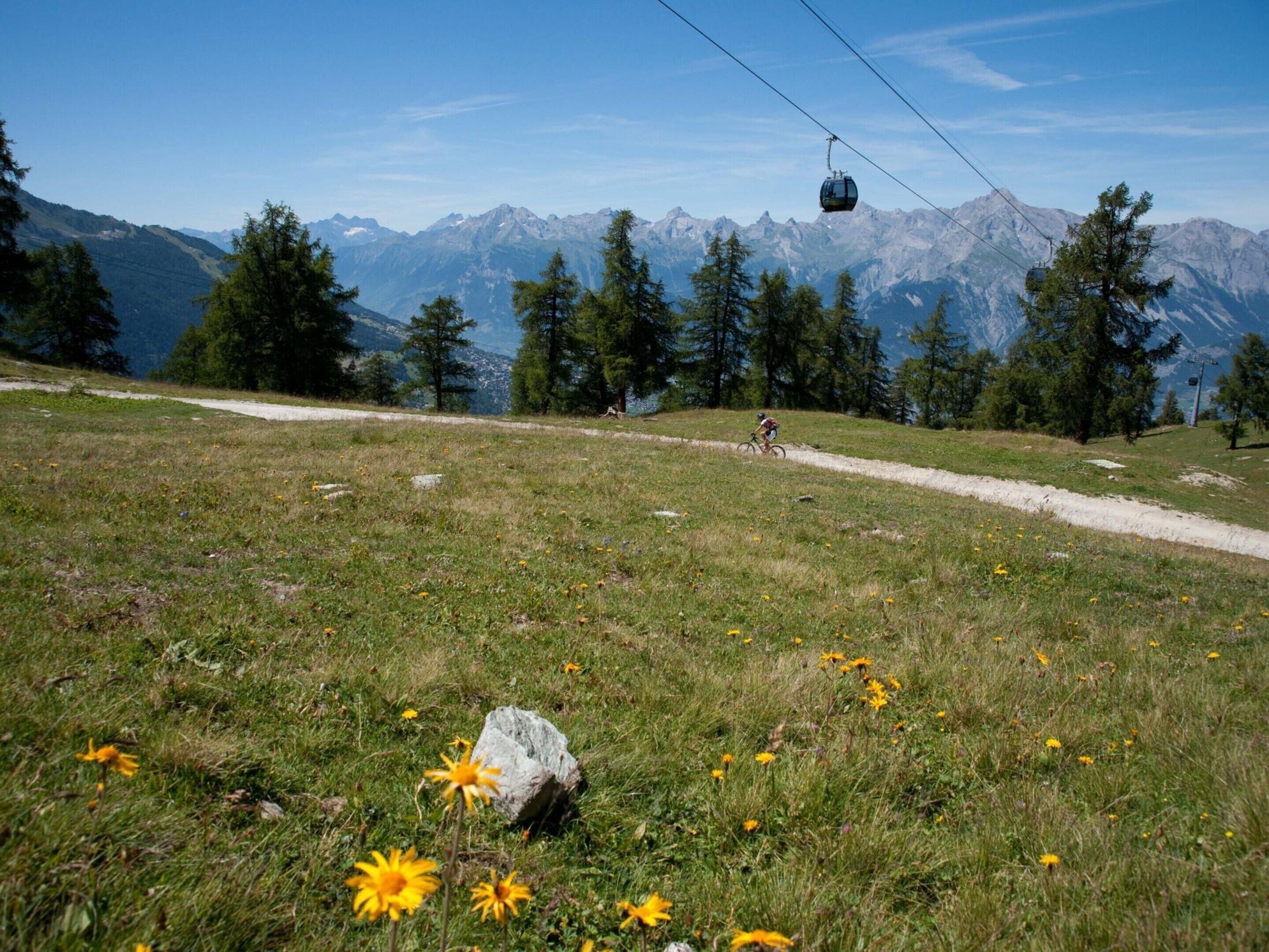 A mountain trail with a cable car in the background and a cyclist ahead.