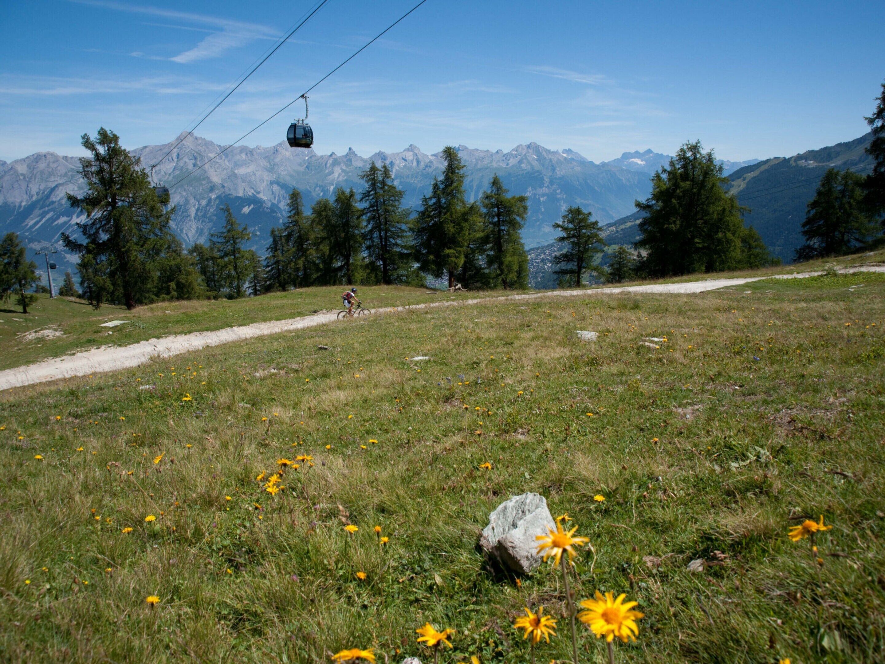 Un sentier de montagne avec un cycliste, un téléphérique et une vue dégagée sur les montagnes lointaines.
