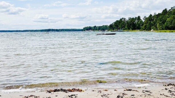 Ein ruhiger See mit Steg und bewaldetem Ufer.
